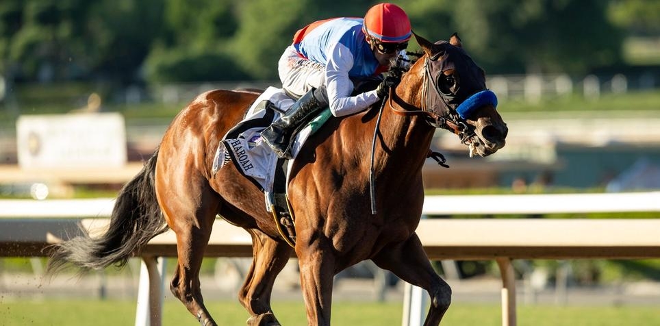 2024 Preakness Stakes: Contenders and Latest Odds Following Muth Scratch