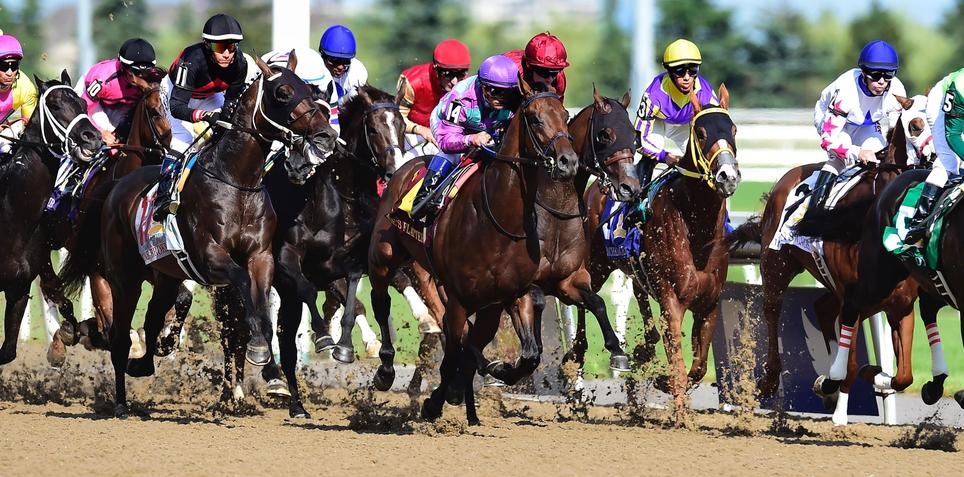 Horse Racing Best Bets for Friday 8/18/23