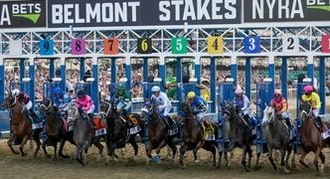 The Wine Steward: Belmont Stakes Horse Odds, History and Prediction