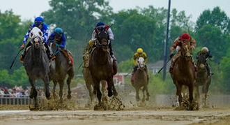 2024 Iroquois Stakes Preview