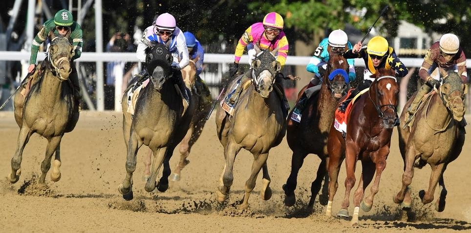 Horse Racing Best Bets for Wednesday 8/30/23