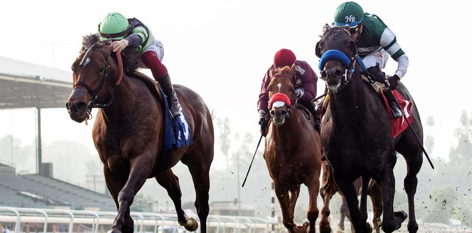 Horse Racing Best Bets for Friday 2/23/24