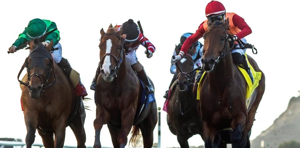 Horse Racing Best Bets for Wednesday 11/29/23