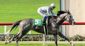 2024 Bing Crosby Stakes Preview