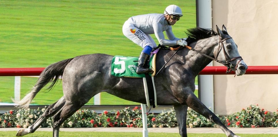 2024 Bing Crosby Stakes Preview