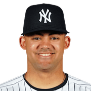 Jasson Dominguez