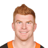 Andy Dalton