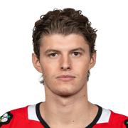 Lukas Reichel