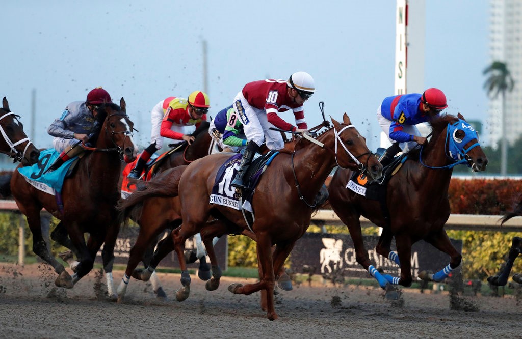 Gulfstream Horse Racing Picks including and Fountain of Youth Stakes for Saturday 3/4/23