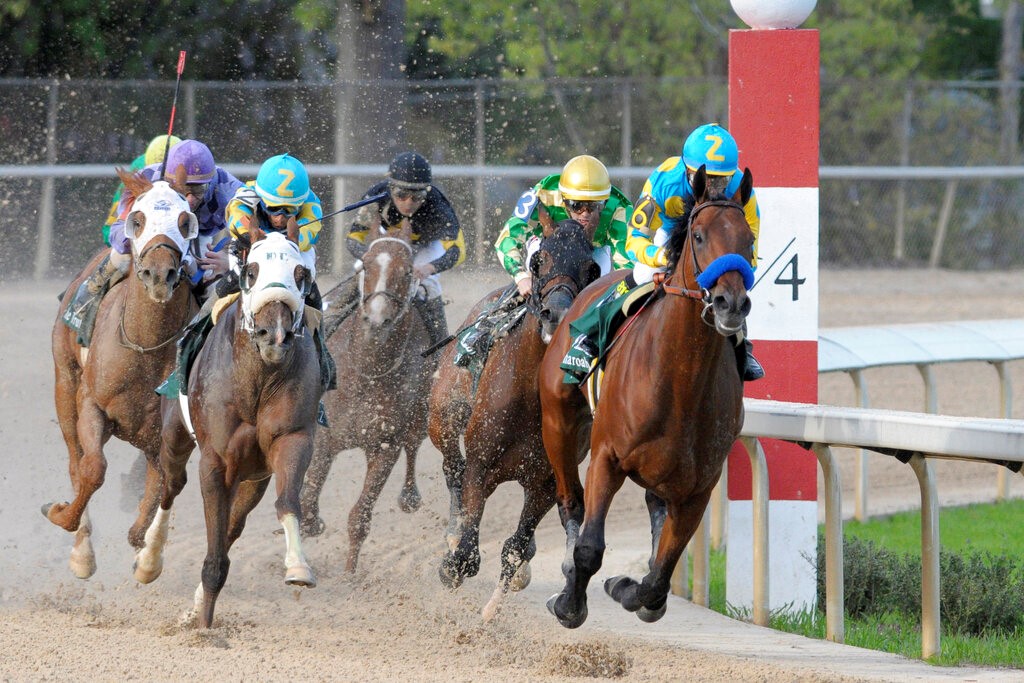 Oaklawn Horse Racing Picks Including Kentucky Derby Prep & Arkansas Derby for Saturday 4/1/23