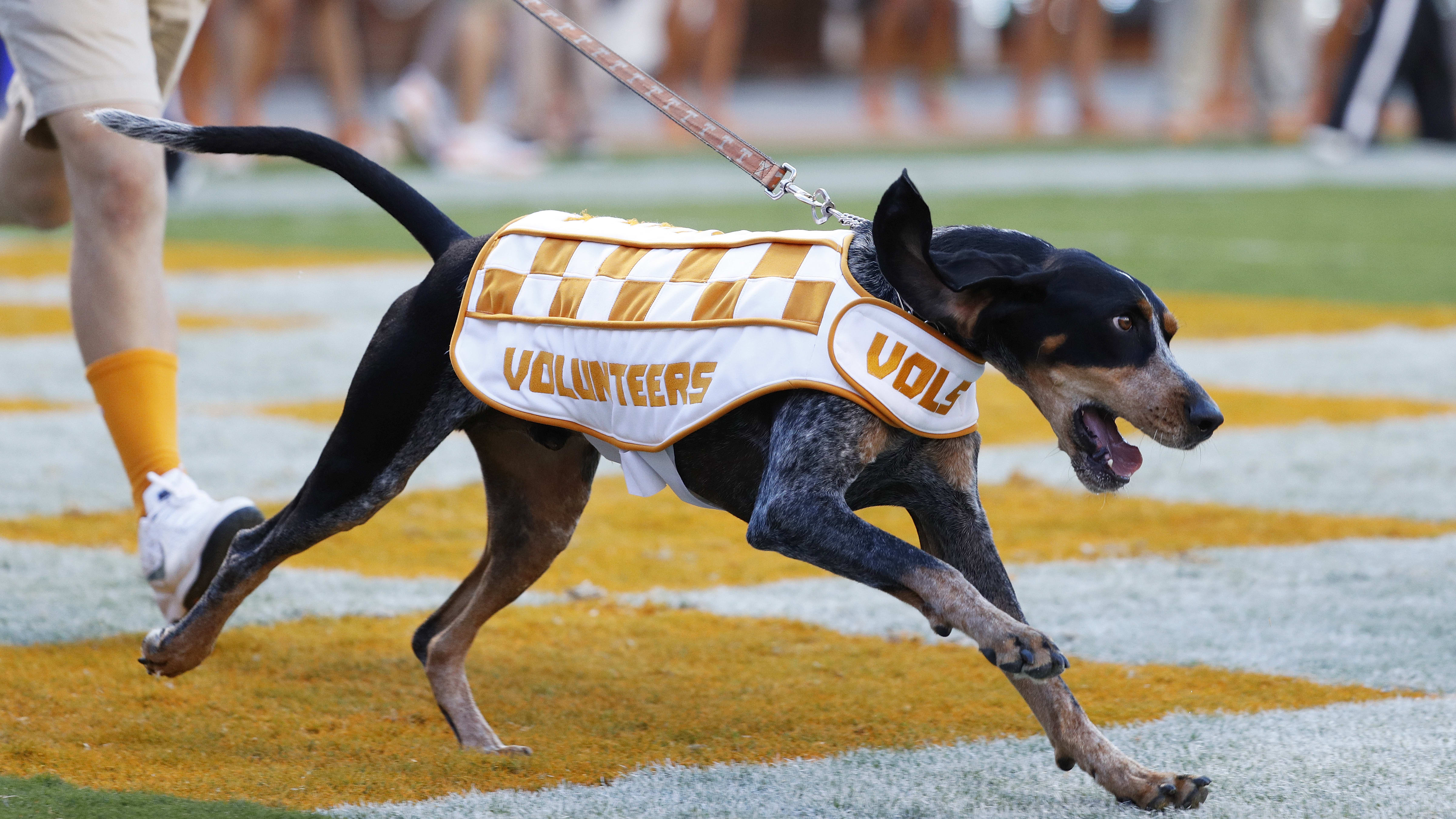 This Tennessee Football Flag Design Concept Looks Incredible